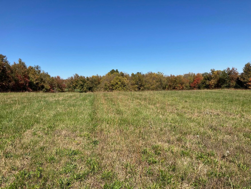 Tract 3 Combs Rd, Nixa, MO 65714 - photo 1