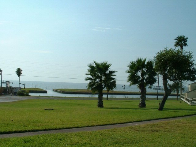 Main View