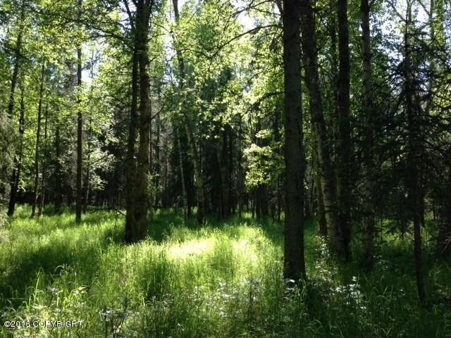 Vacant Land
