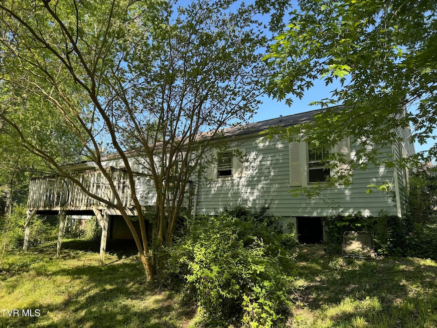 309 Roosevelt St, Johnson City, TN 37601 - photo 1