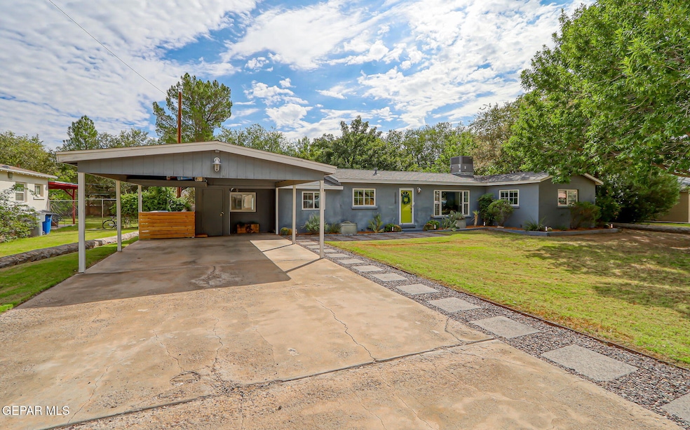 16-web-or-mls-IMG_4104