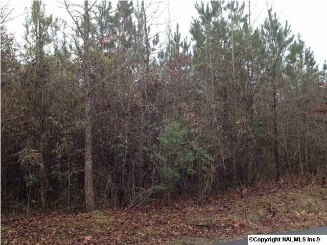 0 White Elephant Rd unit 724520, Grant, AL 35747 - photo 1