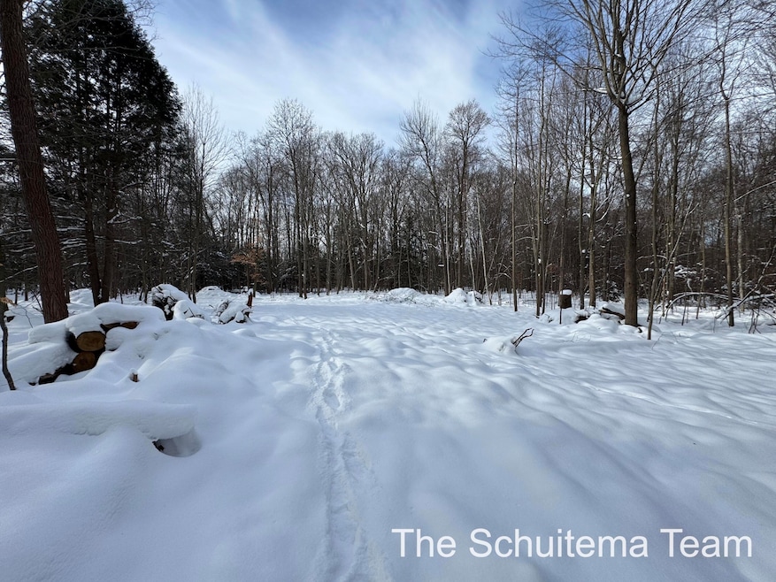 V/L Hickory St, Fruitport, MI 49415 - photo 1