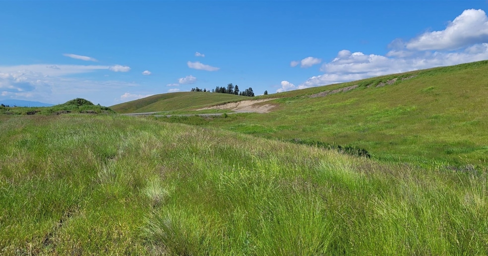 164 Grassy Loop, Eureka, MT 59917 - photo 1