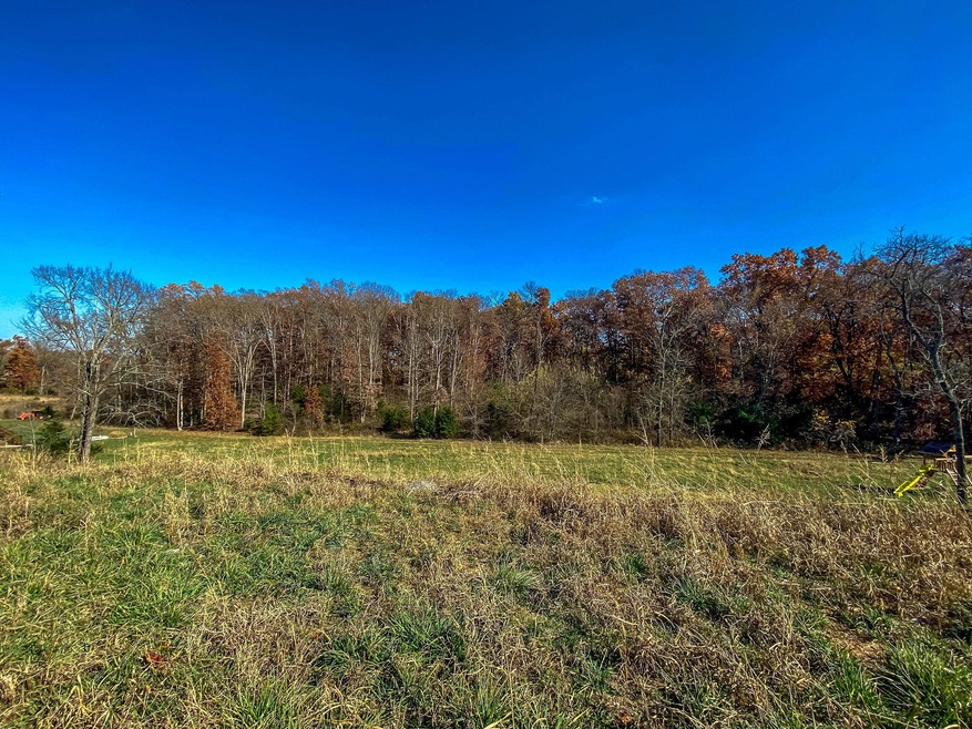 718 Peach Brook Dr, Nixa, MO 65714 - photo 1