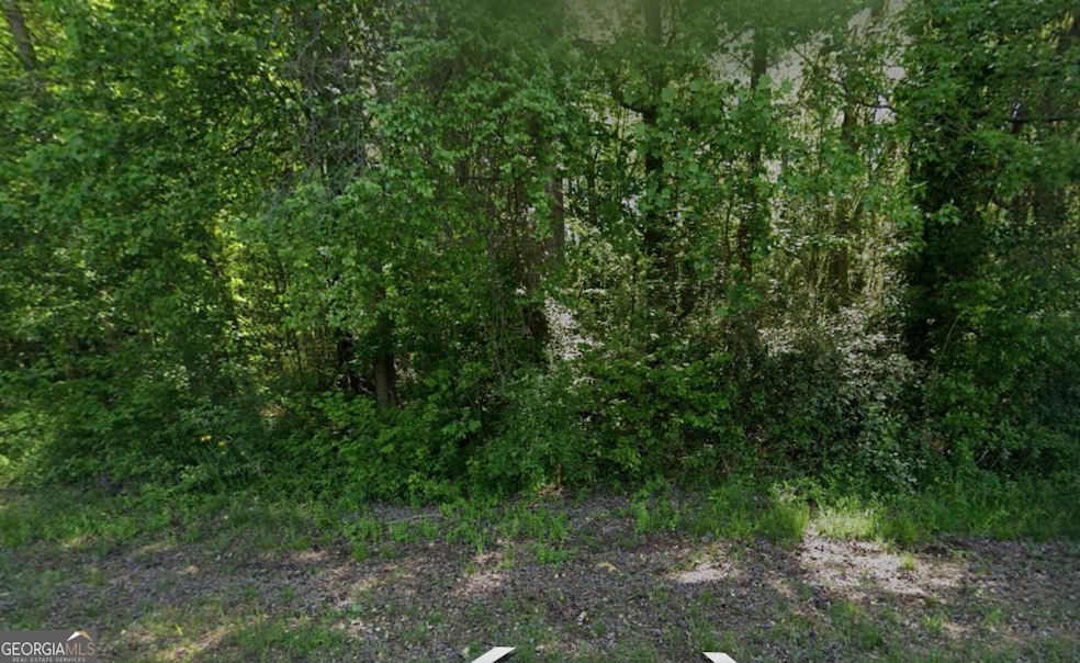 1374 Zebulon Rd, Griffin, GA 30224 - photo 1