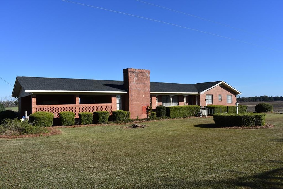 126 Phillips Rd, Damascus, GA 39841 - photo 1