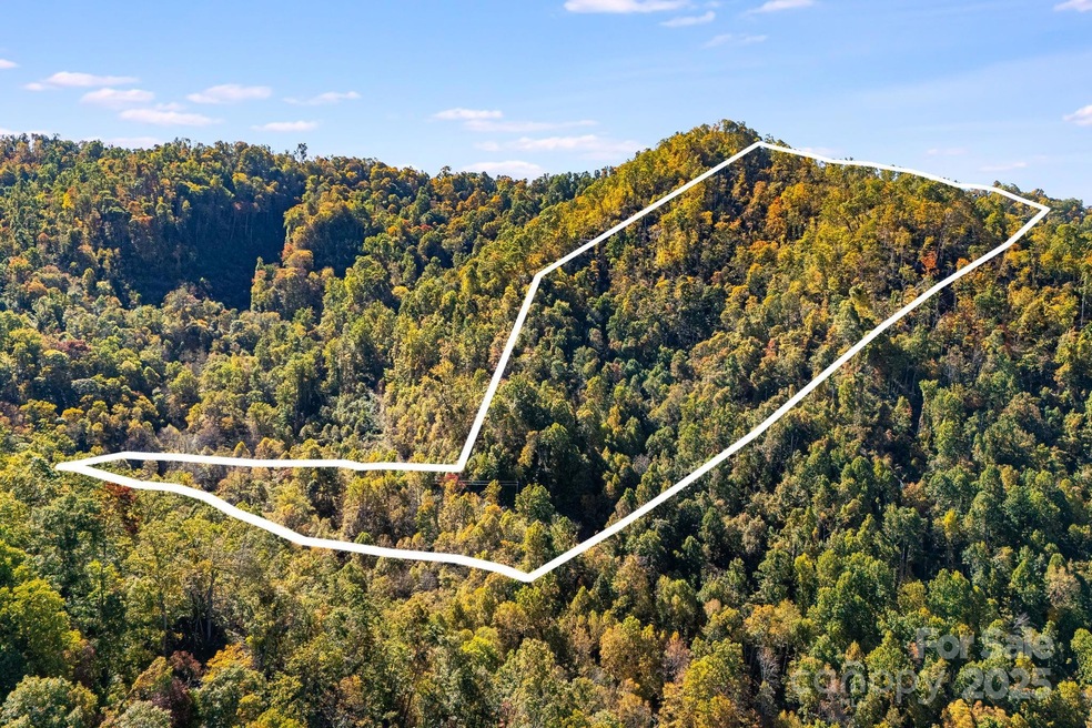 000 Hamburg Rd unit 17, Mars Hill, NC 28754 - photo 1