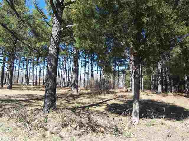 00 Heber Springs Rd S, Heber Springs, AR 72543 - photo 1