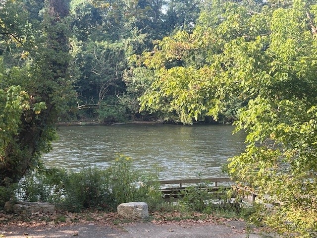 Lot 15 & 2A Highway 5, Norfork, AR 72658 - photo 1