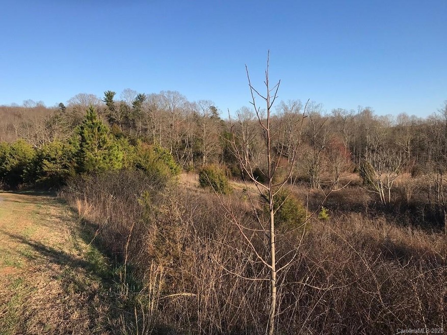 Lot 23 Vance Farm Dr unit 23, Sharpesburg, NC 28625 - photo 1