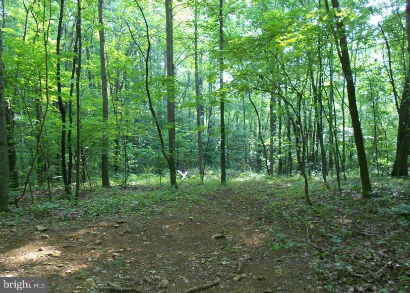 0 Bull Yearling Rd unit 1002802042, Stanardsville, VA 22973 - photo 1