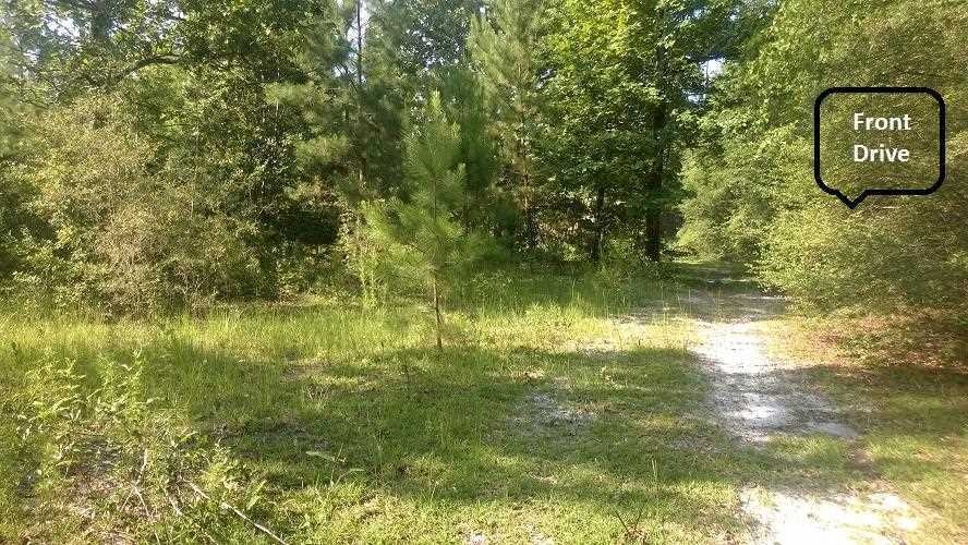 134 Windsong Cir N, Crawfordville, FL 32327 - photo 1