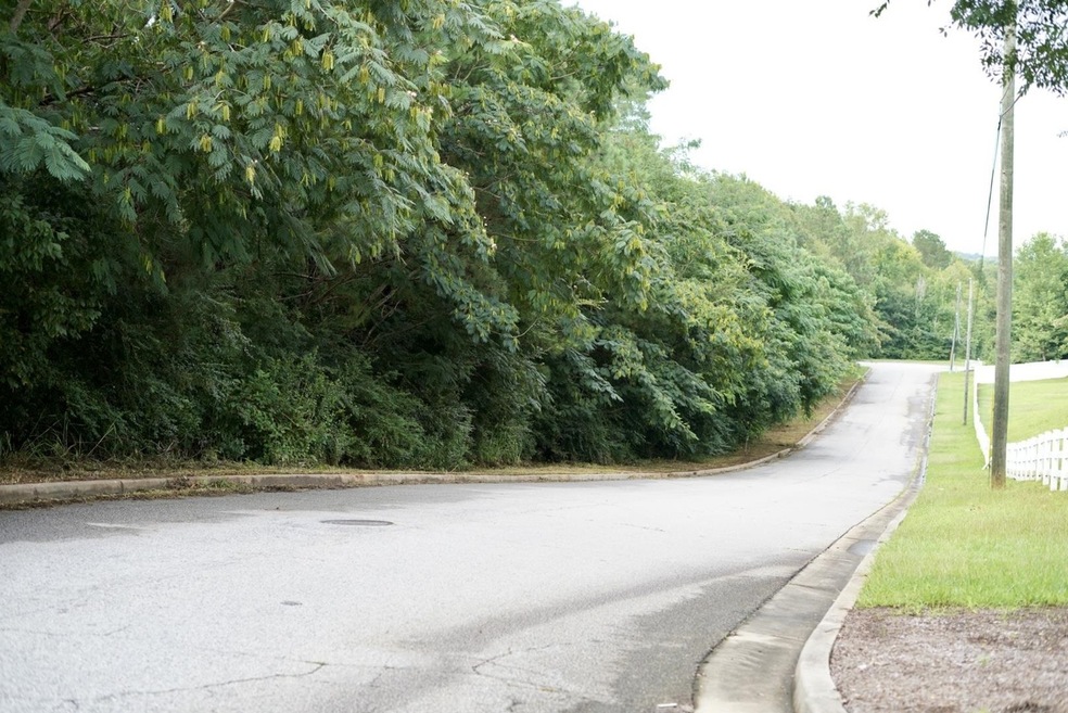 944 Tolliver Place, Macon, GA 31210 - photo 1