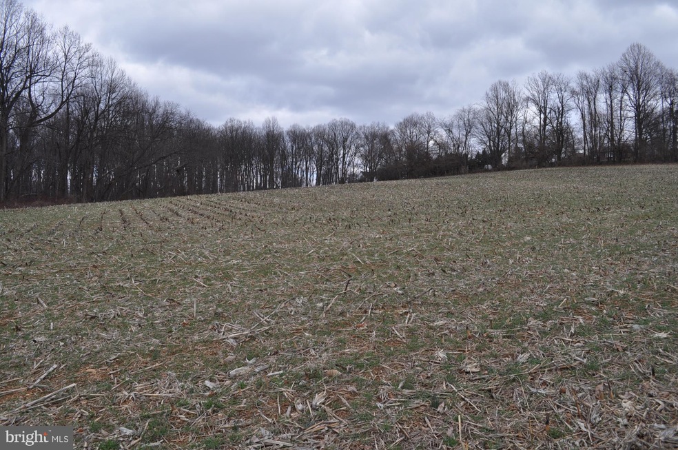 LOT 1 Hanover Pike, Manchester, MD 21102 - photo 1