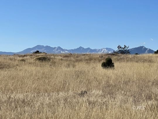 Meadow and Mountain View