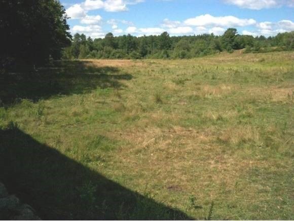 Lot 128 Webster Mills Rd, Chichester, NH 03258 - photo 1