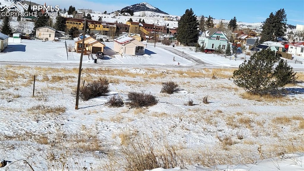 Yard covered in snow featuring a mountain view