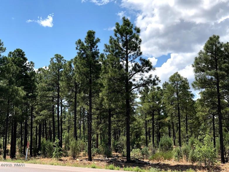 1 Woolford Rd, Show Low, AZ 85901 - photo 1