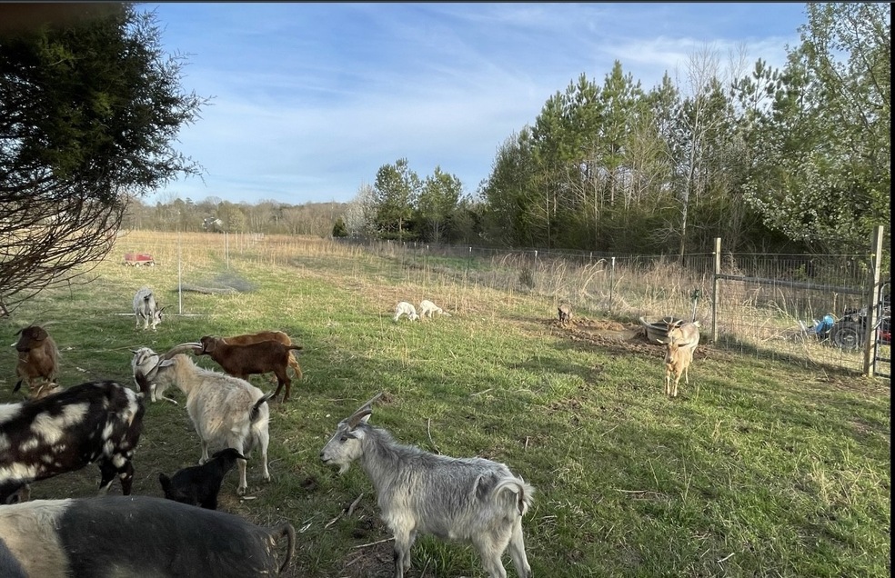 Photos the owner has taken over the years.