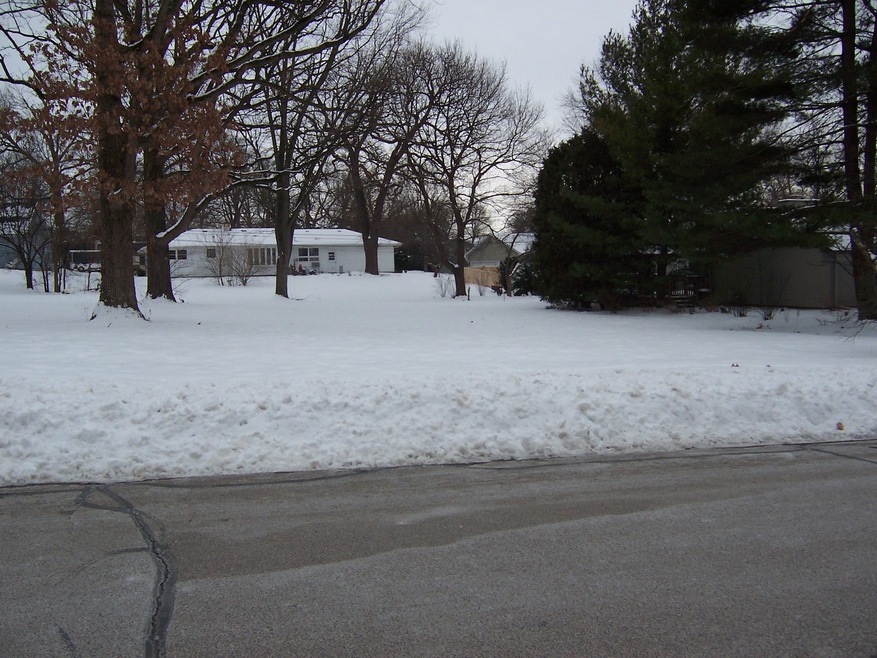 1234 Foxglove Dr, Batavia, IL 60510 - photo 1