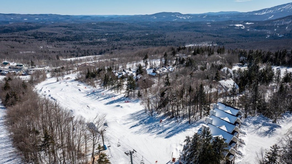 38 Farm Rd unit 5, Peru, VT 05152 - photo 1