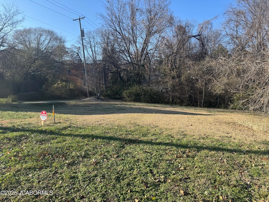 206 Chestnut St, Jefferson City, MO 65101 - photo 1