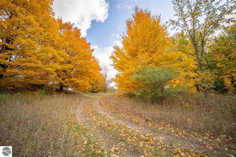 0 E Lincoln Rd unit 1859726, Cedar, MI 49621 - photo 1