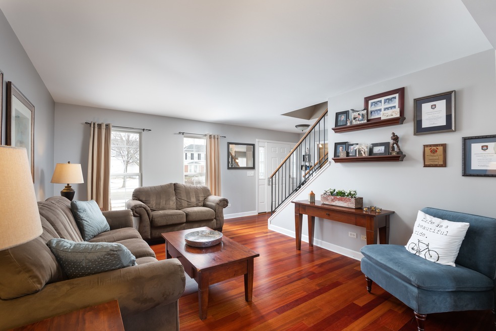 2480 Warm Springs Ln, Naperville, IL 60564 - photo 1