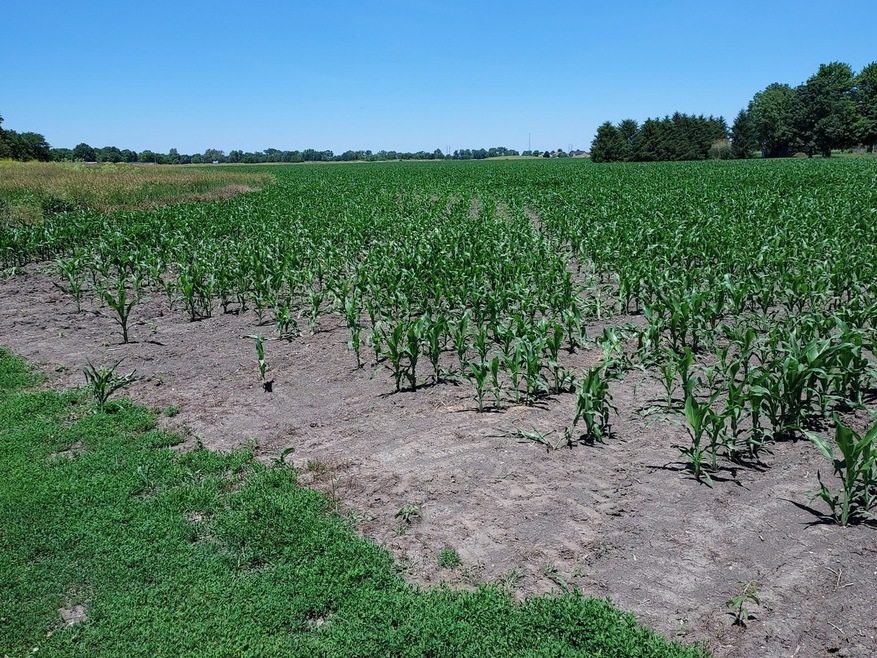 402 E North Line Rd, Tuscola, IL 61953 - photo 1