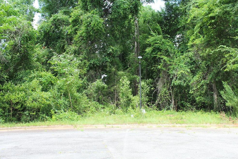 308 Turnberry Ct, Albany, GA 31721 - photo 1