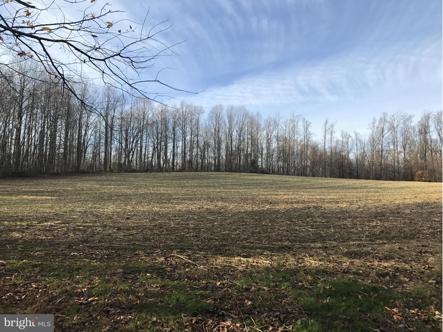 3872 Old Birdsville Rd, Harwood, MD 20776 - photo 1