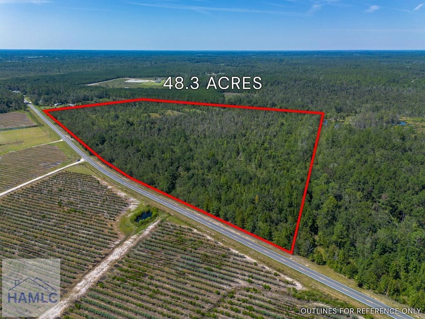 0 Old Surrency Rd unit 162811, Baxley, GA 31513 - photo 1