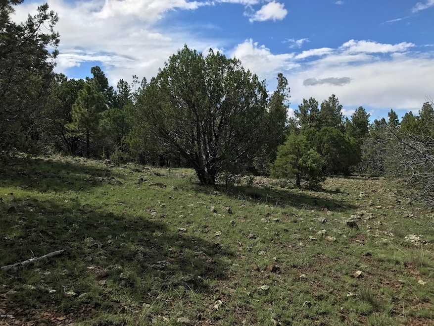5 Acres adjacent to national forest