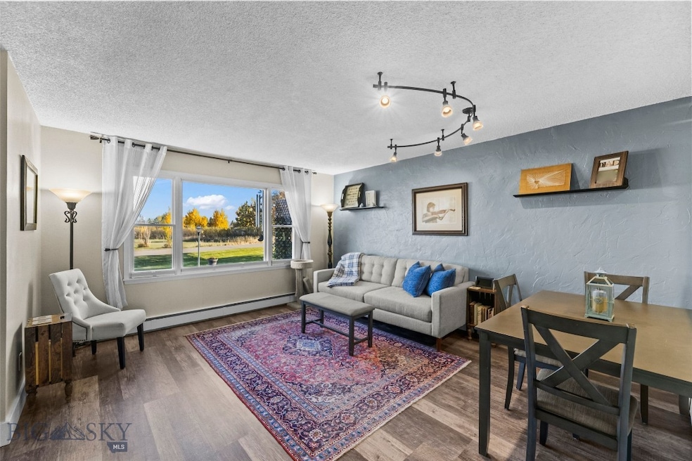 29 Border Ln unit 3, Bozeman, MT 59718 - photo 1