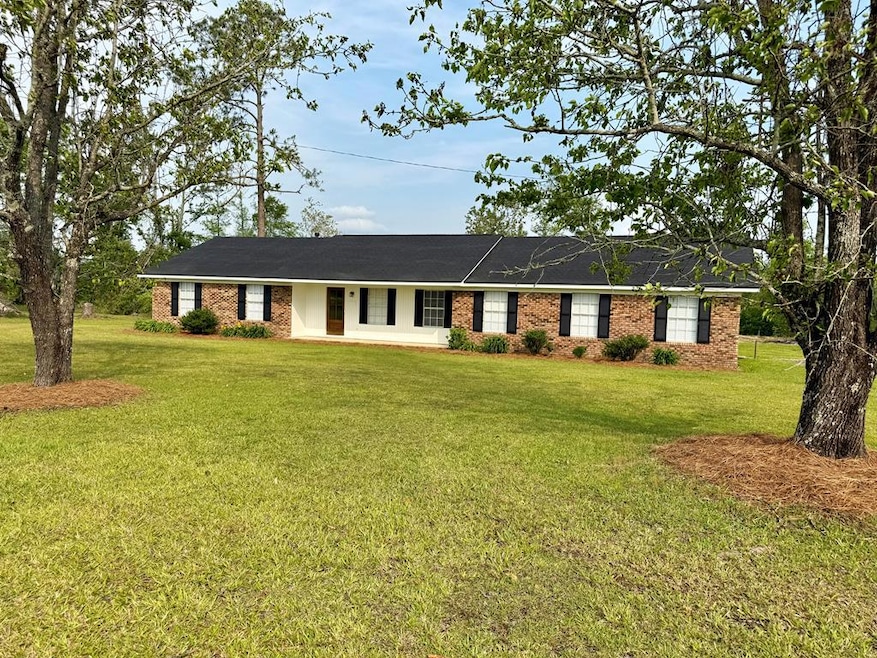 Main View