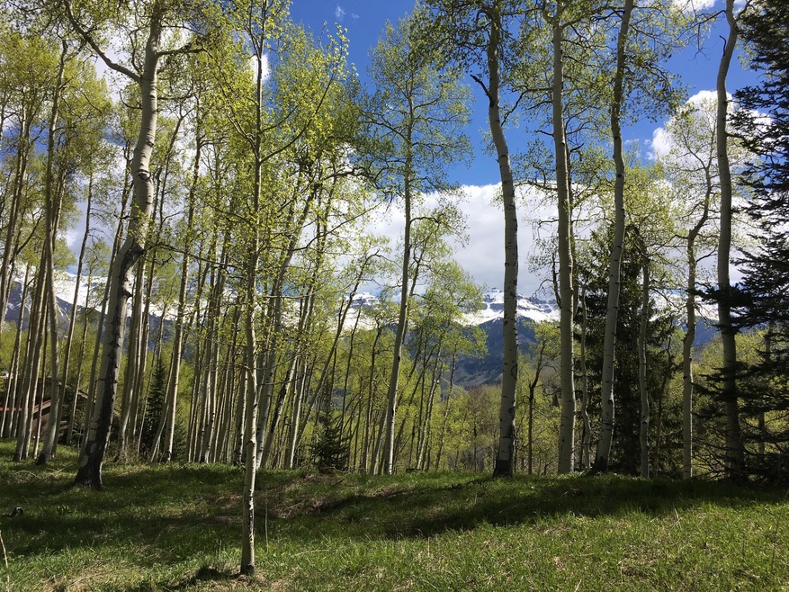 Northern Peaks