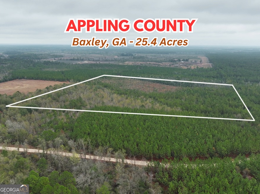 0 Off Doc McTier Rd unit 10656659, Baxley, GA 31513 - photo 1