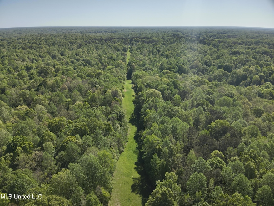 DJI_20250411100312_0005_V