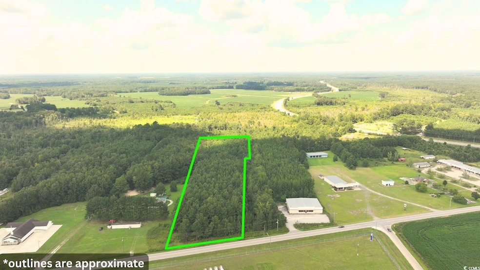 0 Highway 521 unit Lot A, Greeleyville, SC 29056 - photo 1