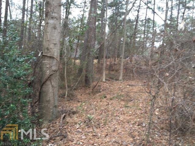 9305 Scott Rd, Roswell, GA 30076 - photo 1