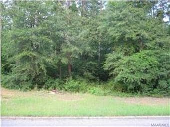 1 Cook Rd, Prattville, AL 36067 - photo 1