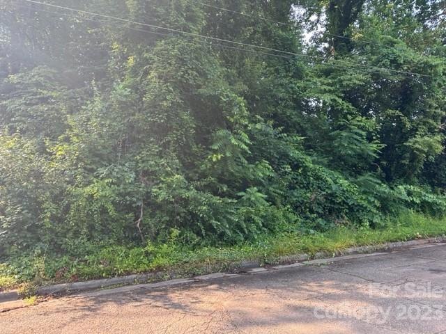 918 Brookwood Ct unit 5, Statesville, NC 28677 - photo 1