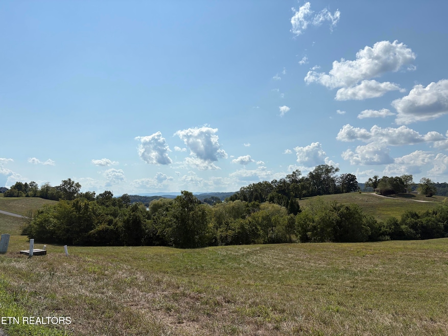 415 Russell Brothers Rd, Sharps Chapel, TN 37866 - photo 1