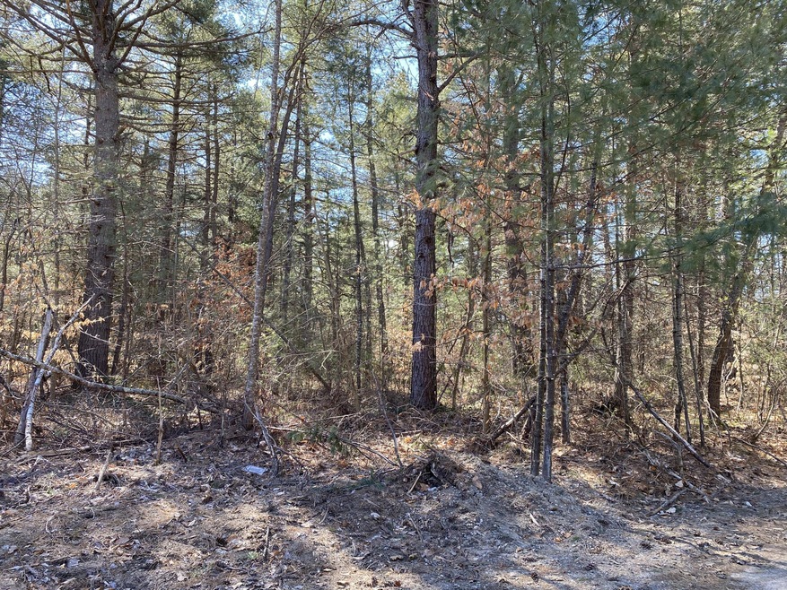 Sold $29,900 • Co-Listing Agent