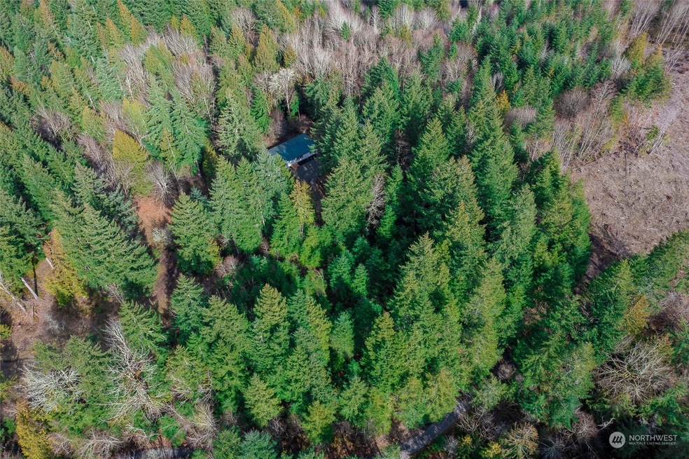 19706 199th St E, Orting, WA 98360 - photo 1