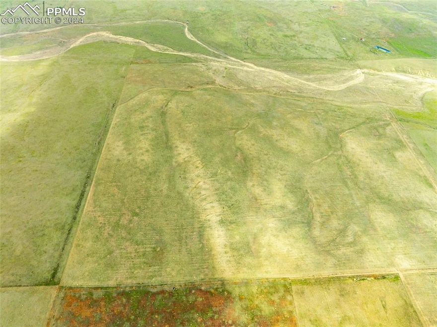 View of bird's eye view