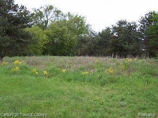 1.02 Acre Parcel in Premier Sub