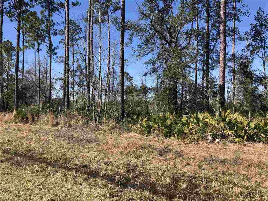 3 Crawfordville Hwy, Crawfordville, FL 32327 - photo 1