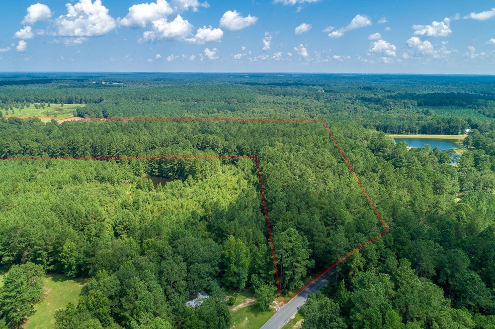 Drone View (2 of 22)